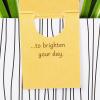Hallmark Paper Wonder Mother’s Day Pop Up Card (Potted Spider Plant) for Nures Day, Admin Professional Day, Any Occasion