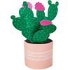 Hallmark Paper Wonder Mother’s Day Pop Up Card (Rainbow) Thinking of You, All Occasion(Pop Up  Potted Cactus)