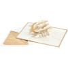 Hallmark Paper Wonder Musical 3D Pop-Up Valentine’s Day Card With Motion (Happy Heart Day)(Pop Up  Moon and Back)