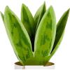 Hallmark Paper Wonder Musical 3D Pop-Up Valentine’s Day Card With Motion (Happy Heart Day)(Pop Up  Snake Plant)