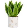 Hallmark Paper Wonder Musical 3D Pop-Up Valentine’s Day Card With Motion (Happy Heart Day)(Pop Up  Snake Plant)