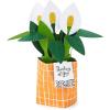 Hallmark Paper Wonder Pick-a-Title Customizable Pop-Up Card (Stars and Balloons) for Birthday, Congrats, Graduation(Peace Lily)