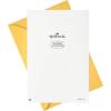 Hallmark Paper Wonder Pop Up Birthday Card (Someone to Celebrate)(Someone to Celebrate)