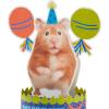 Hallmark Paper Wonder Shoebox Funny Pop Up Birthday Card (Celebrate Like a Hamster)