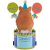 Hallmark Paper Wonder Shoebox Funny Pop Up Birthday Card (Celebrate Like a Hamster)