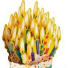 Hallmark Paper Wonder Shoebox Funny Pop Up Card for Birthdays (Cupcake, “Not That Old”)(Cupcake  “Not That Old”)