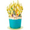 Hallmark Paper Wonder Shoebox Funny Pop Up Card for Birthdays (Cupcake, “Not That Old”)(Cupcake  “Not That Old”)