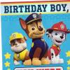Hallmark Paw Patrol Birthday Card for Boys (Born Brave)(Paw Patrol)