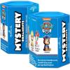Hallmark Paw Patrol Mystery Christmas Ornaments, Shatterproof, Set of 2(Paw Patrol 2 Mystery)