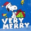Hallmark Peanuts Christmas Card (Snoopy Ice Skating)(Very Merry Snoopy)