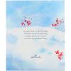 Hallmark Recordable Book for Children (A Christmas Wish for My Grandchild)(A Christmas Wish)