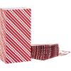 Hallmark Red and White Stripe Party Favor and Wrapped Treat Bags with Gift Tag Stickers (30 Bags, 30 Labels) for Christmas, Valentines Day, Birthdays, May Day, Care Packages and More(Red Stripes with Label)