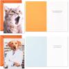 Hallmark Shoebox Funny Birthday Card Assortment (4 Cards with Envelopes) Cat, Dog, Giraffe, Raccoon