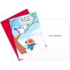 Hallmark Shoebox Funny Boxed Christmas Cards Assortment, Crack Me Up (4 Designs, 24 Christmas Cards with Envelopes) (5XPX9457)(Snowbirds)