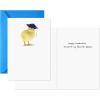 Hallmark Shoebox Funny Graduation Gift Card Holders or Money Holders, You’re Always Awesome (6 Cards with Envelope)(Funny Assortment  6 Cards)