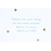 Hallmark Signature Birthday Card (Candle Bundle)(Candle Bundle)