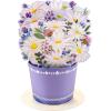 Hallmark Signature Blank Card (Rainbow)(Pop Up  Displayable Daisy Bouquet)