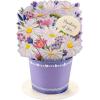 Hallmark Signature Blank Card (Rainbow)(Pop Up  Displayable Daisy Bouquet)