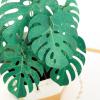 Hallmark Signature Mother’s Day Card (Greenhouse) Blank, Thinking of You, Encouragement(Monstera)