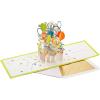 Hallmark Signature Paper Wonder Pop Up Congratulations Card, Fathers Day Card, or Birthday Card (Celebrate) (1299RZH1130)(Pop Up  Celebrate)