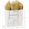 Hallmark Signature Studio 10″ Large Square Gift Bag with Tissue Paper (Happy Birthday) Teal, Gray, Pink, Blue on White(Minimal Teal  Gray  Pink  Blue)