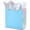 Hallmark Signature Studio 7″ Medium Gift Bag with Tissue Paper (Embossed Hearts, White, Pink, Gold) for Birthdays, Valentine’s Day, Baby Showers, Bridal Showers(Blue)