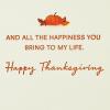 Hallmark Signature Thanksgiving Card (Blessings and Love)(Snoopy and Woodstock)
