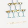 Hallmark Signature Wedding Card (Just the Beginning)(Champagne)