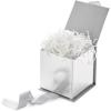 Hallmark Small Gift Box with Bow and Shredded Paper Fill (Red Signature 4 inch Gift Box with Glitter) for Birthdays, Graduations, Anniversaries, Christmas, Valentine’s Day, All Occasion(Silver Glitter)
