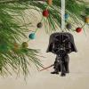 Hallmark Star Wars Darth Vader Funko POP! Christmas Ornament(Darth Vader)