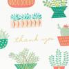 Hallmark Thank You Cards Assortment, Pink and Blue Floral (50 Thank You Notes with Envelopes for Wedding, Bridal Shower, Baby Shower, Business, Graduation)(Cactus)