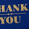 Hallmark Thank You Notes (Silver Foil Script, 40 Cards and Envelopes)(Navy and Gold)