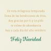 Hallmark Vida Spanish Christmas Card (Celebrating from Afar)(Bendiciones Navide?as Detachable Angel)