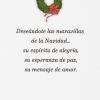 Hallmark Vida Spanish Christmas Card (Celebrating from Afar)(Tarjeta de Navidad Española Visualizable  Feliz Navidad)