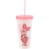 Silver Buffalo Rainbow Brite 4 pack Color Change Plastic Tumbler Set Featuring Rainbow Brite, Patty O’Green, La La Orange, and Shy Violet, 24 Ounces(Disney Winnie the Pooh)