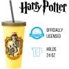 Silver Buffalo Rainbow Brite 4 pack Color Change Plastic Tumbler Set Featuring Rainbow Brite, Patty O’Green, La La Orange, and Shy Violet, 24 Ounces(Harry Potter House Crests)