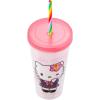 Silver Buffalo Rainbow Brite 4 pack Color Change Plastic Tumbler Set Featuring Rainbow Brite, Patty O’Green, La La Orange, and Shy Violet, 24 Ounces(Hello Kitty and Friends Kogyaru)