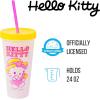 Silver Buffalo Rainbow Brite 4 pack Color Change Plastic Tumbler Set Featuring Rainbow Brite, Patty O’Green, La La Orange, and Shy Violet, 24 Ounces(Sanrio Hello Kitty Garden Doodle)