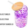 Silver Buffalo Rainbow Brite Balloon Glass Tumbler with Bamboo Lid and Glass Straw, 16 Ounces(Bratz Logo Purple Checkered)