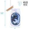 Silver Buffalo Rainbow Brite Balloon Glass Tumbler with Bamboo Lid and Glass Straw, 16 Ounces(How to Train Your Dragon)
