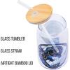 Silver Buffalo Rainbow Brite Balloon Glass Tumbler with Bamboo Lid and Glass Straw, 16 Ounces(How to Train Your Dragon)