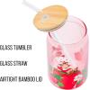 Silver Buffalo Rainbow Brite Balloon Glass Tumbler with Bamboo Lid and Glass Straw, 16 Ounces(Strawberry Shortcake Sitting on Strawberry)