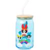 Silver Buffalo Rainbow Brite Balloon Glass Tumbler with Bamboo Lid and Glass Straw, 16 Ounces(The Powerpuff Girls (2 Pack))