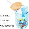 Silver Buffalo Rainbow Brite Balloon Glass Tumbler with Bamboo Lid and Glass Straw, 16 Ounces(The Powerpuff Girls)