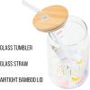 Silver Buffalo Rainbow Brite Balloon Glass Tumbler with Bamboo Lid and Glass Straw, 16 Ounces(Wicked Glinda)
