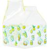 Silver Buffalo Rainbow Brite Featuring Twink, Puppy Brite, and Starlite Plastic Milk Carton Pitcher Bottle, 16.2 Ounces(Cinnamoroll Lemons)