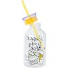 Silver Buffalo Rainbow Brite Featuring Twink, Puppy Brite, and Starlite Plastic Milk Carton Pitcher Bottle, 16.2 Ounces(Winnie the Pooh Sweet As Can Bee)