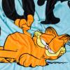 Silver Buffalo Rainbow Brite Plush Raschel Throw Blanket Featuring Rainbow Land, 45″ x 60″(Garfield Not Today)