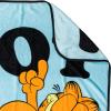 Silver Buffalo Rainbow Brite Plush Raschel Throw Blanket Featuring Rainbow Land, 45″ x 60″(Garfield Not Today)