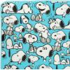 Silver Buffalo Rainbow Brite Plush Raschel Throw Blanket Featuring Rainbow Land, 45″ x 60″(Peanuts Snoopy)